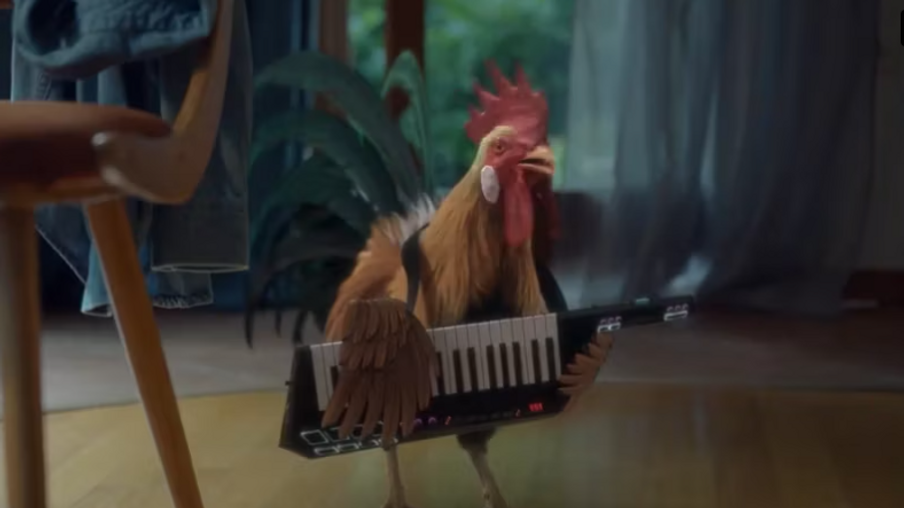 Maitre coq